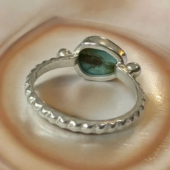 Robin’s Egg Turquoise Sterling Silver Ring (8)